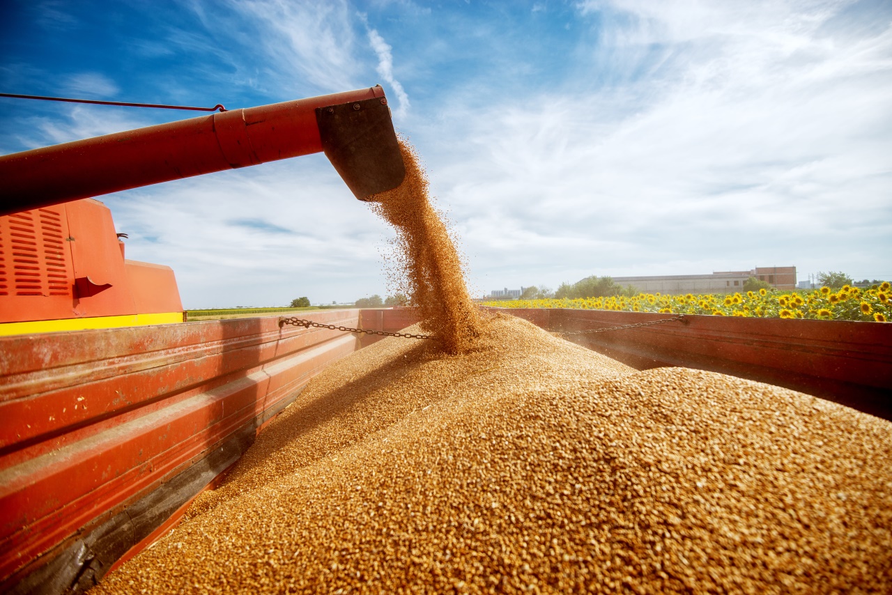 «Деметра Трейдинг» экспортировал рекордный объем пшеницы по итогам сентября